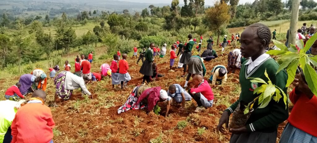 Children planting trees
