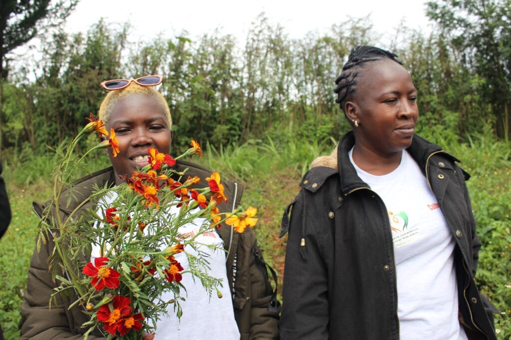 Marigold flower being held by Ogiek woman