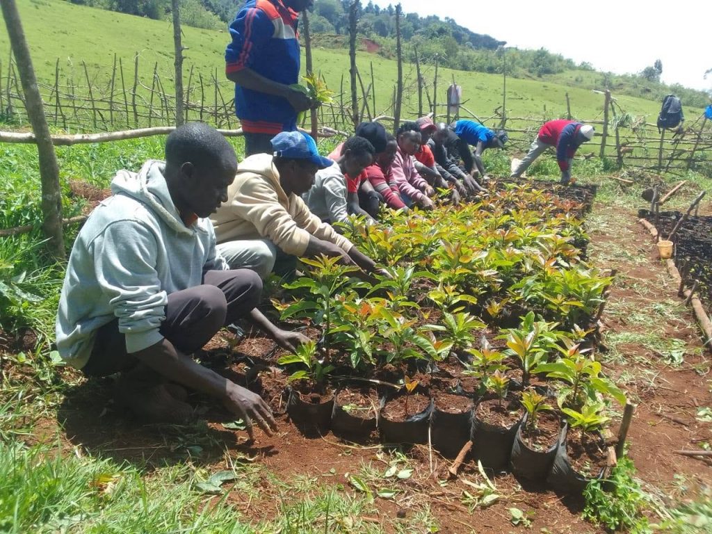 From Training to Transformation: The Success of Masaita Ogiek Youth Group