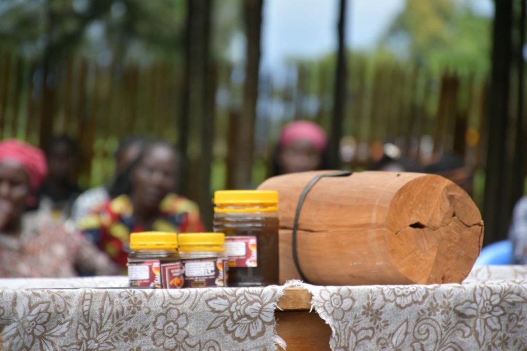 Guardians of the Pollinators: Empowering Siloi Ogiek Women through Sustainable Beekeeping