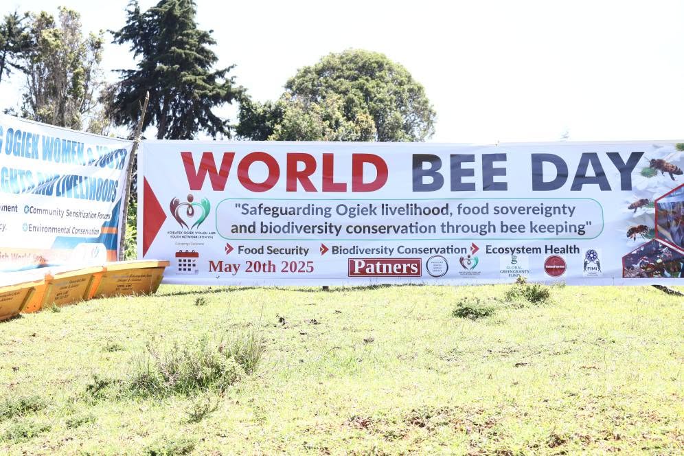 Celebrating World Bee Day: Revitalizing the Ogiek Heritage of Stewardship