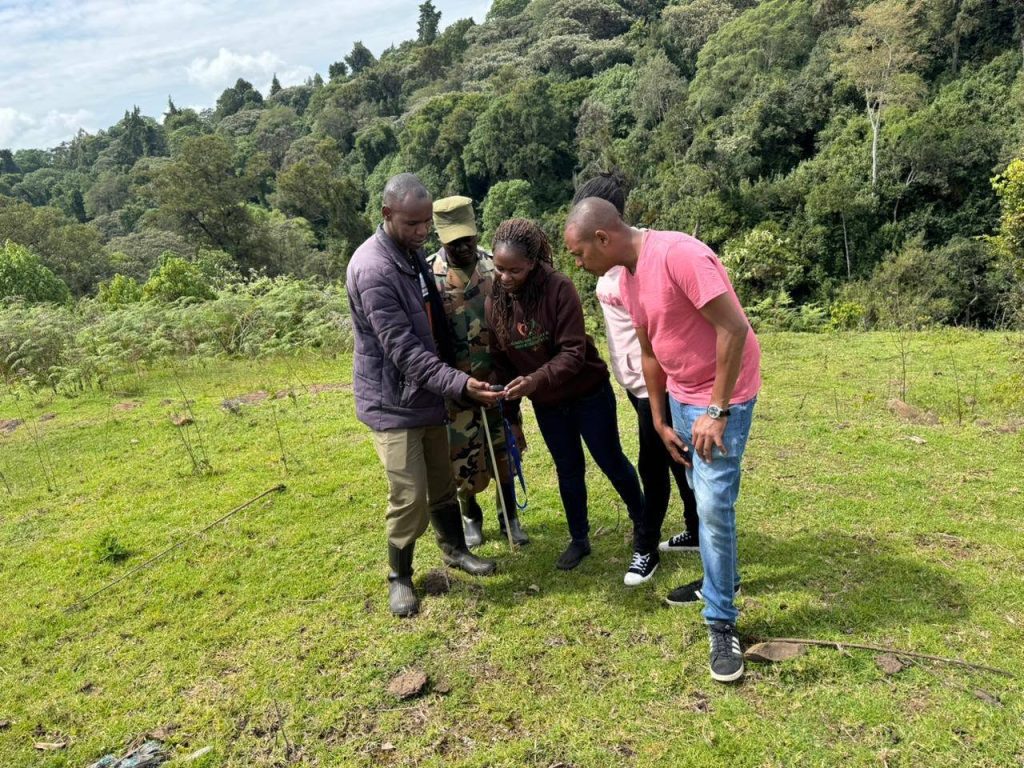 Healing the Heart of Our Ancestral Lands: Assessing Maji Mazuri Forest