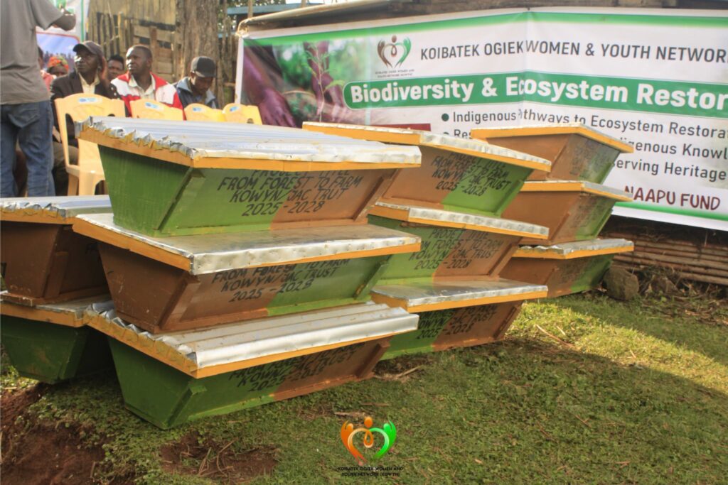 Beehives for Chemoson Youth: Honey, Jobs & Conservation